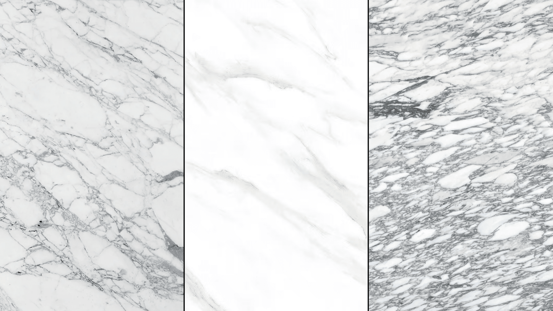 Comparing Calacatta, Carrara, and Arabescato