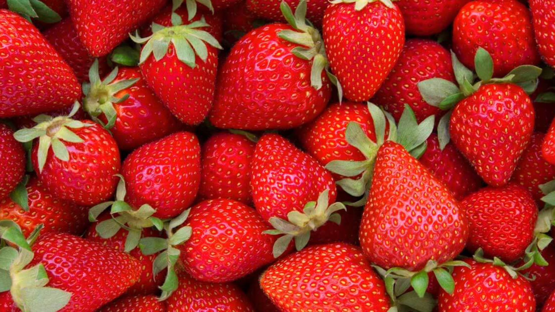 Strawberries